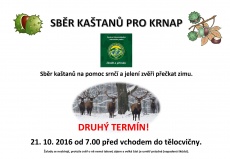 Sběr kaštanů pro KRNAP